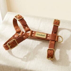 Brass-Lined Y-Front Harness